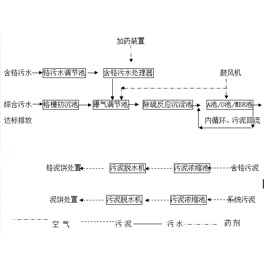 山東省陽信盛鑫實業有限公司含鉻污水處理工程